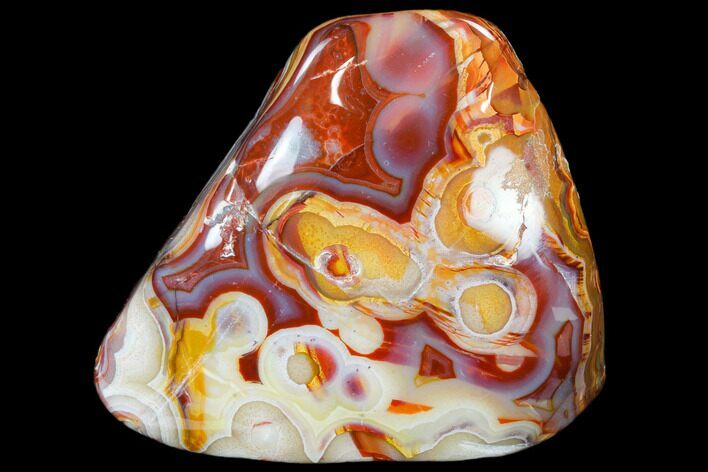 Polished Crazy Lace Agate - Mexico #114385